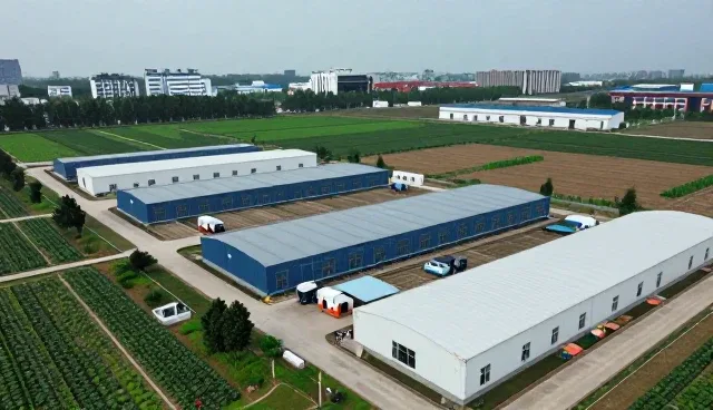 技术性能在应用开发中的关键作用与发展趋势